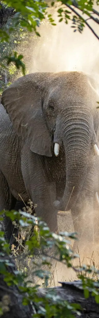Flugsafari durch Simbabwe